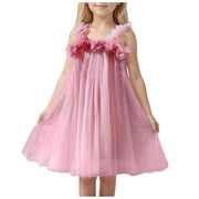 GXWEA Toddler Tea Party Dress Girls Valentines Day Outfit Layered Tulle Tutu Dress For Toddler Girls,Baby Girl Rainbow Tutu Princess Skirt Set Pink 2-3 Years